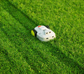 Robotic Lawn Mower Monthly Subscription - Boston