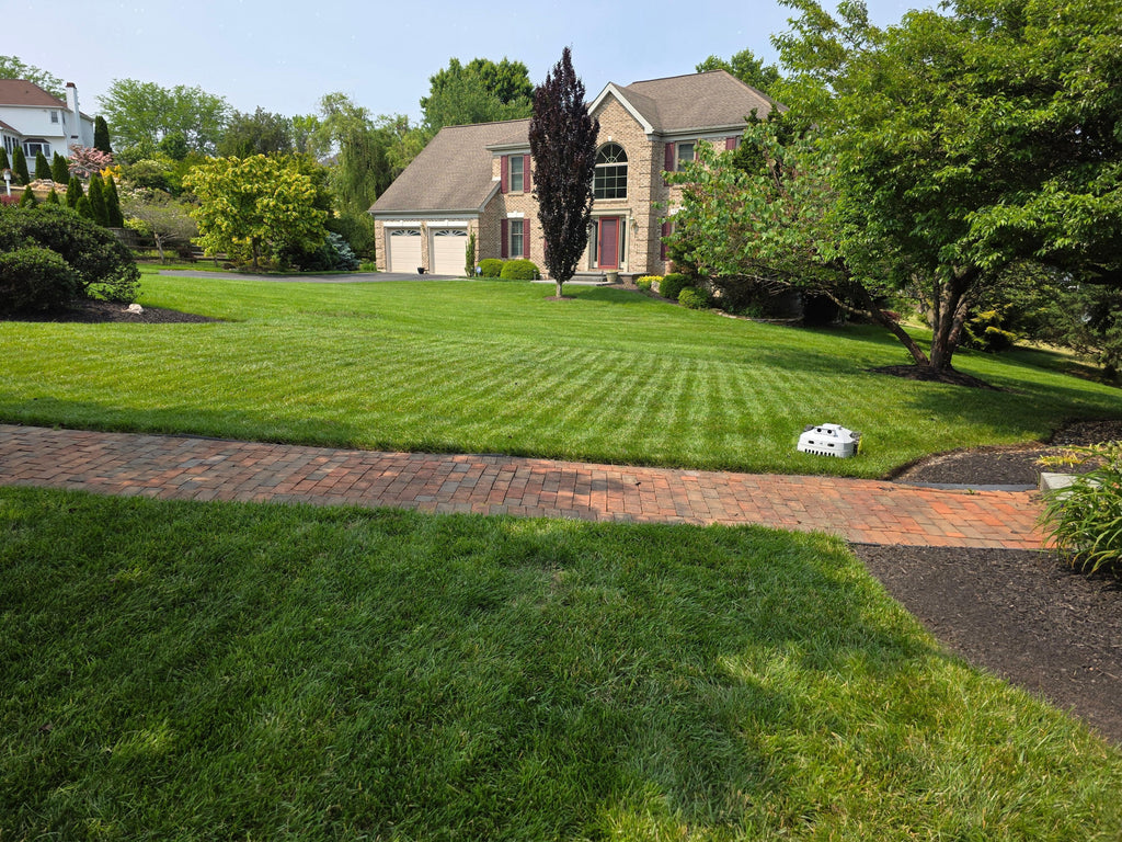 Robotic Lawn Mower Monthly Subscription - Boston