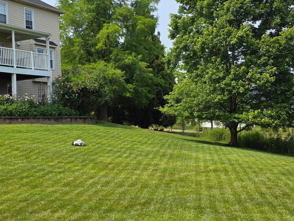 Robotic Lawn Mower Monthly Subscription - Boston