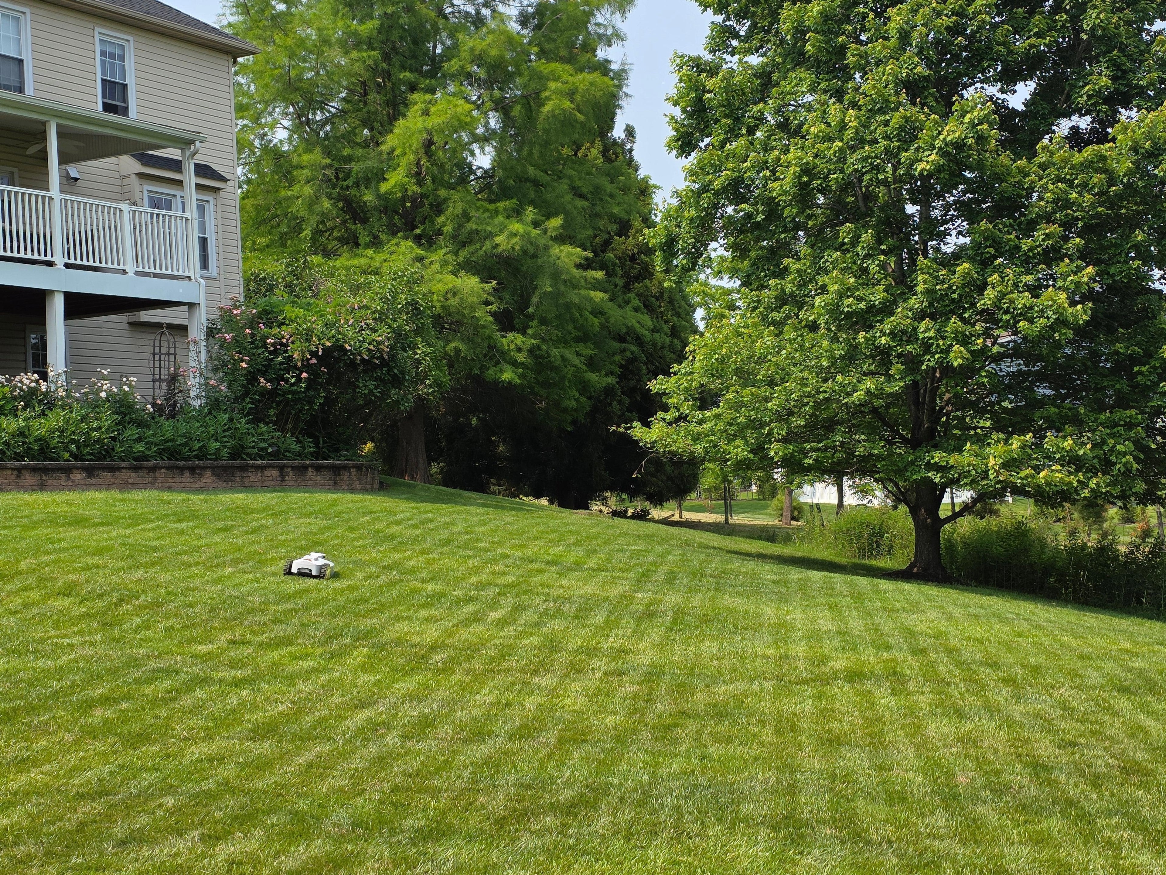 Robotic Lawn Mower Monthly Subscription - Boston