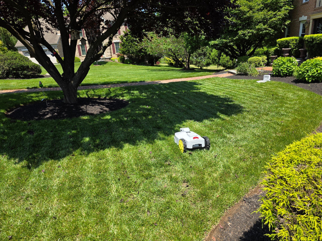 Robotic Lawn Mower Monthly Subscription - Boston