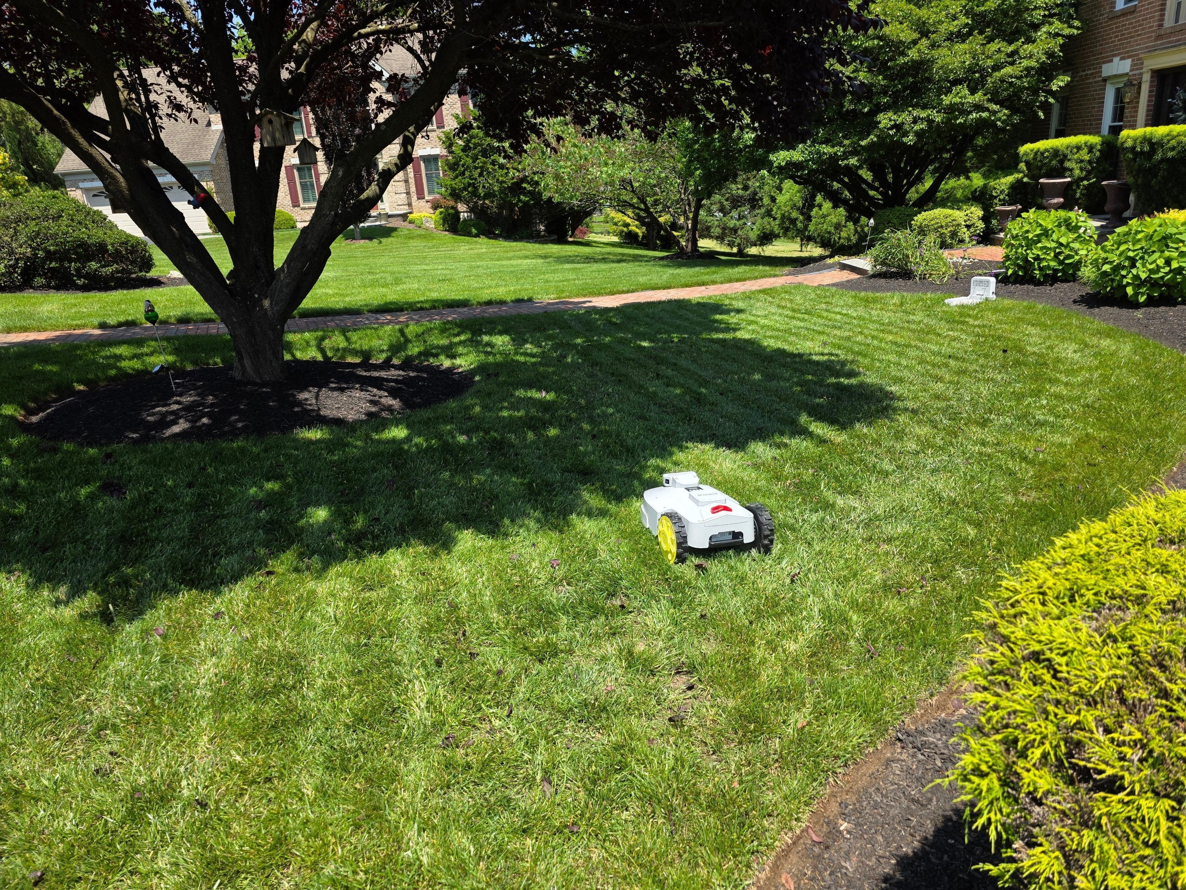 Robotic Lawn Mower Monthly Subscription - Boston