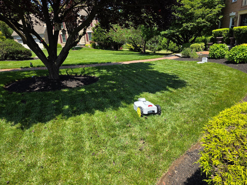 Robotic Lawn Mower Monthly Subscription - Boston